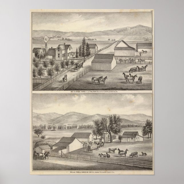 Walker, Knittel residences, farms Poster (Front)