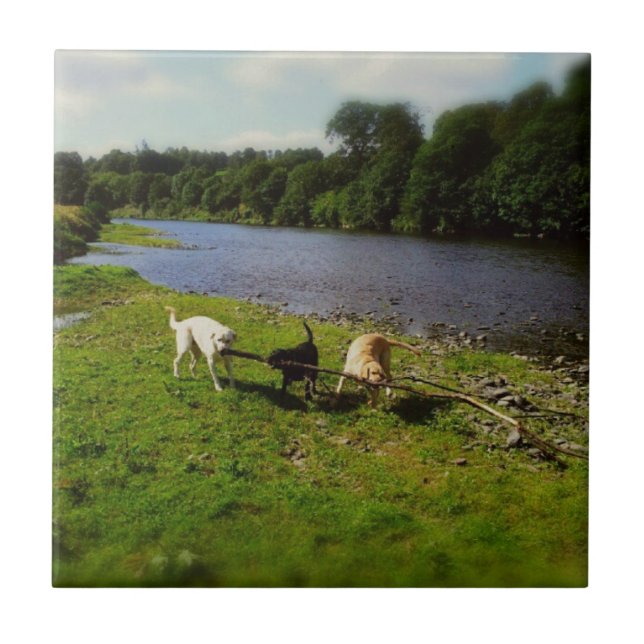 Walkies Tile (Front)