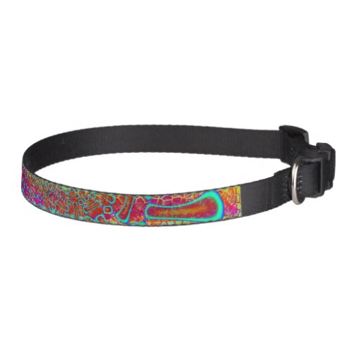 Walkin On Sun Shine Psychedelic 3D Pet Collar