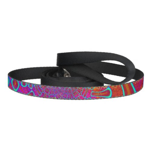 Walkin On Sun Shine Psychedelic 3D Pet Leash