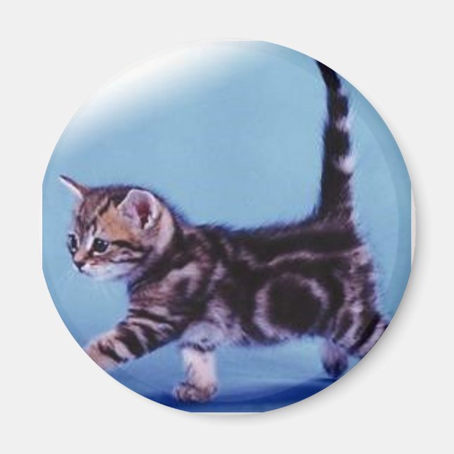 walking%20kitten%20RC%20Germany Magnet (Front)