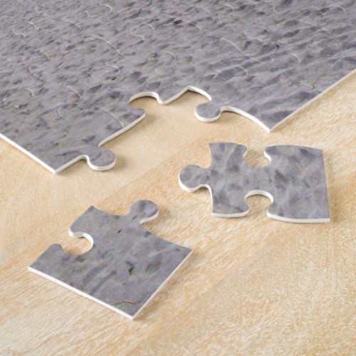 Walking Along Siesta Keys Beach Jigsaw Puzzle