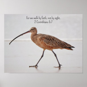 Walking Beach Bird and Bible Verse Art Poster