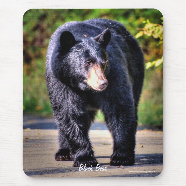 Walking Black Bear Wildlife Image for Animal-lover Mouse Pad (Front)