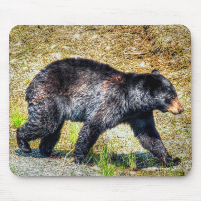 Walking Black Bear Wildlife Photo Art Mouse Pad (Front)