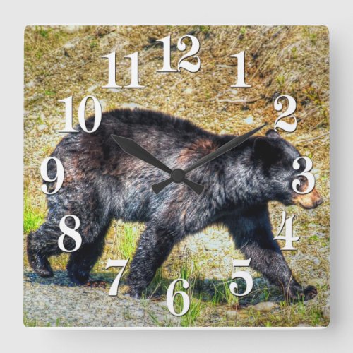 Walking Black Bear Wildlife Photo Art Square Wall Clock