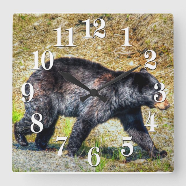 Walking Black Bear Wildlife Photo Art Square Wall Clock (Front)