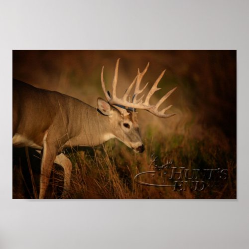 Walking Buck Poster