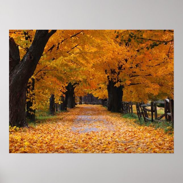 Walking Down Autumn's Memory Lane Poster (Front)