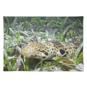 Walking epaulette shark in the Raja Ampat islands Cloth Placemat