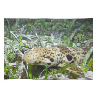 Walking epaulette shark in the Raja Ampat islands Cloth Placemat