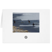 Walking Geese:Muir Cards (Back Horizontal)