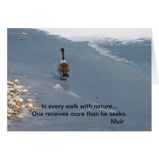 Walking Geese:Muir Cards (Front Horizontal)