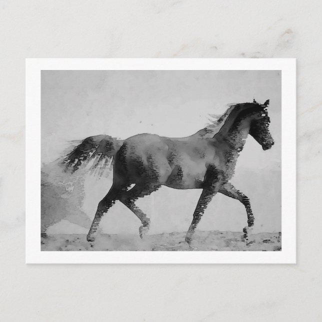 Walking Horse Black & White Postcard (Front)
