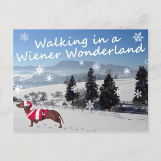 Walking in a Wiener Wonderland Postcard