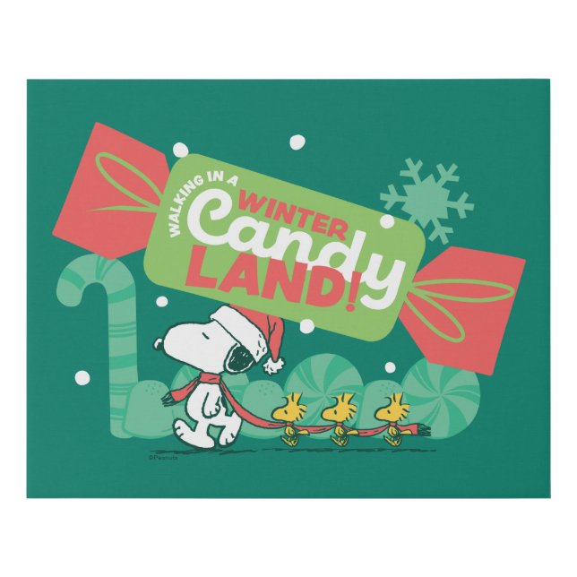 Walking In A Winter Candy Land! Faux Canvas Print (Front)