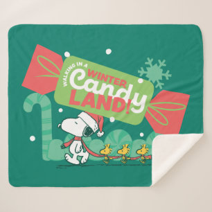 Walking In A Winter Candy Land! Sherpa Blanket
