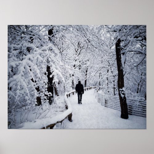 Walking In A Winter Wonderland Poster