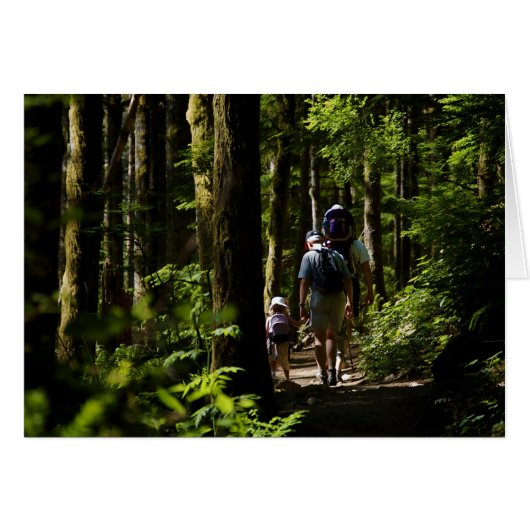 Walking in the woods cards (Front Horizontal)
