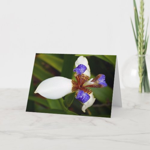 Walking Iris Greeting Card