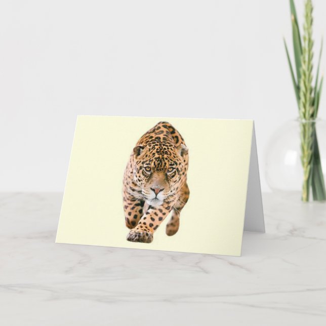 Walking Jaguar Eyes Card (Front)