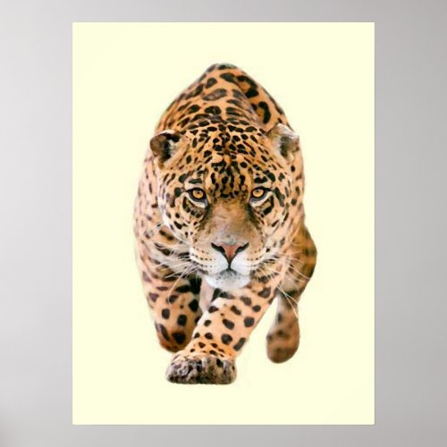 Walking Jaguar Eyes Poster