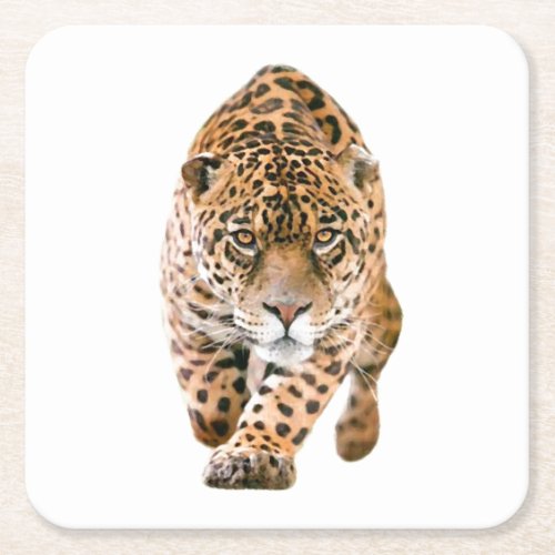 Walking Jaguar Eyes Square Paper Coaster