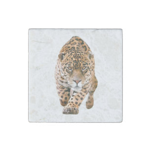 Walking Jaguar Eyes Stone Magnet