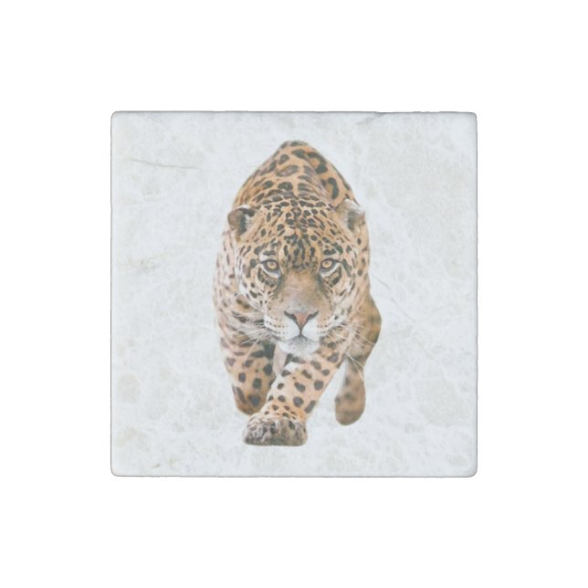 Walking Jaguar Eyes Stone Magnet (Front)