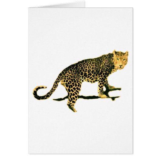 Walking Leopard Cards (Front)