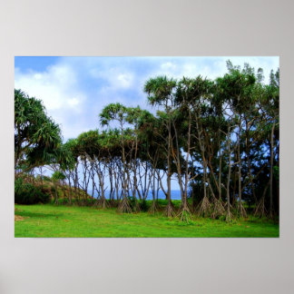 Walking Palm Trees in Hawaii Poster