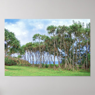 Walking Palm Trees in Hawaii Poster