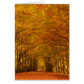 Walking path in forest in autumn vertical card (Front)