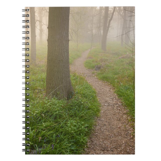 Walking path leading into a forest notebook (Front)