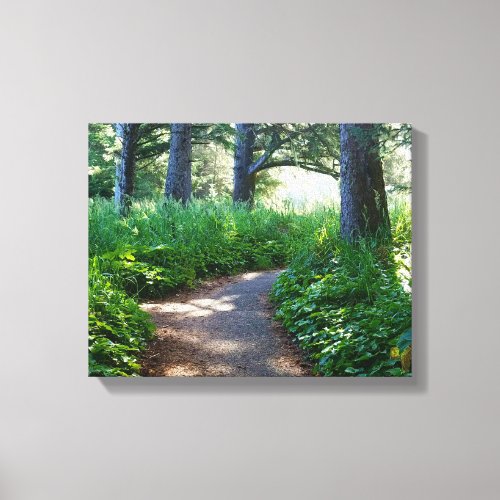 Walking Path Through A Sea Side Forest Canvas Print