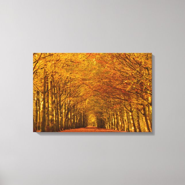 Walking path through autumn forest canvas (Front)