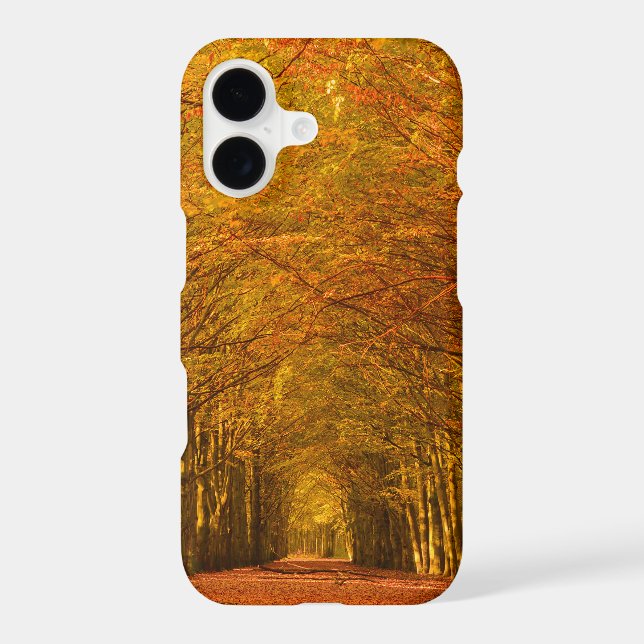 Walking path through the forest in autumn iPhone Case (Back)