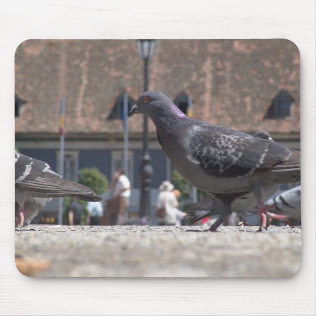 Walking pigeons mouse pad (Front)