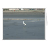 Walking solo.JPG (Front Horizontal)