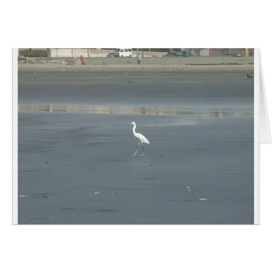 Walking solo.JPG (Front Horizontal)