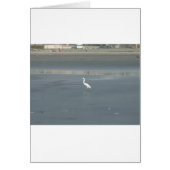 Walking solo.JPG (Front)