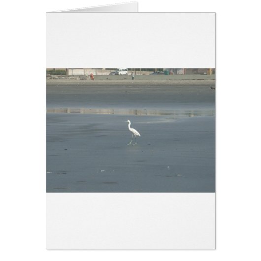 Walking solo.JPG (Front)