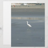 Walking solo.JPG (Front/Back)