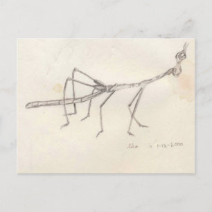 Walking Stick Insect Postcard