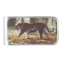 Walking Tiger Money Clip