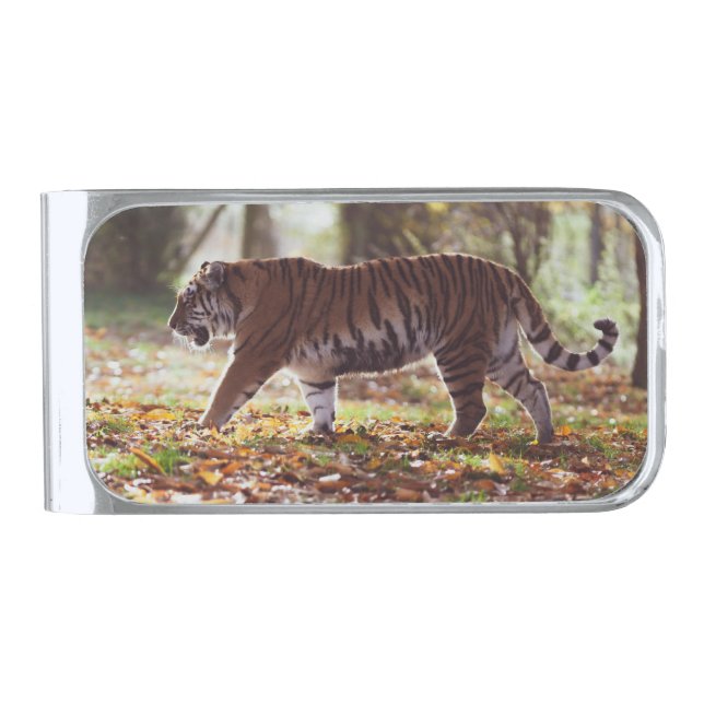 Walking Tiger Money Clip (Front)