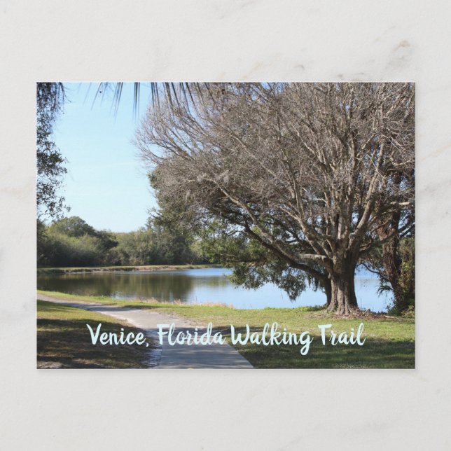 Walking trail Venice Florida nature photography Postcard (Front)