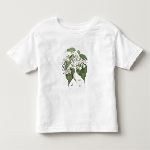 Walkuffa No5 Dombeya torrida wc over graphite o Toddler T_shirt