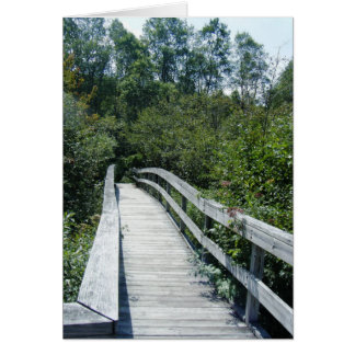 "Walkway, Green Mountain National Forest" Cards