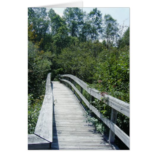 "Walkway, Green Mountain National Forest" Cards (Front)